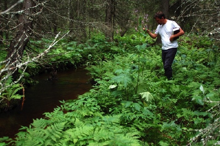 Ola bland ryssbr&auml;ken