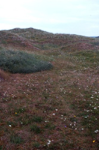 dynomr&aring;de i Ognasanden